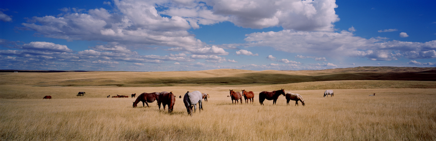 Russ Schleipman Places